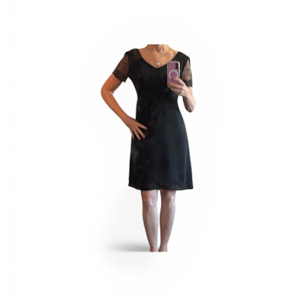 Robbie Bee Black Midi Dress with Sheer Sleeves